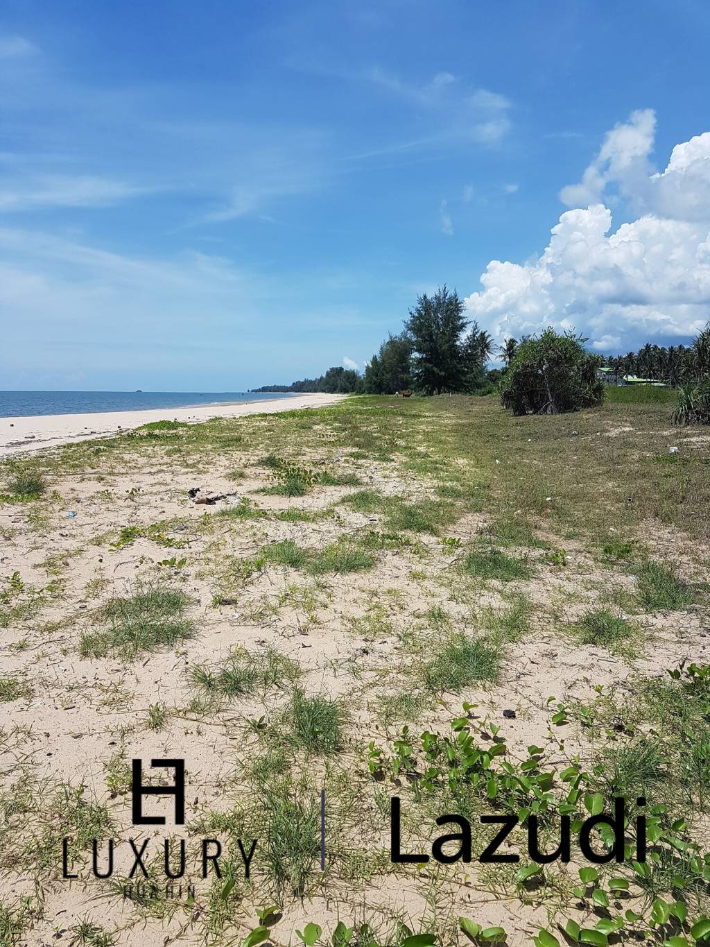 Absolute Beachfront Land in Prachuap Bang Saphan Noi