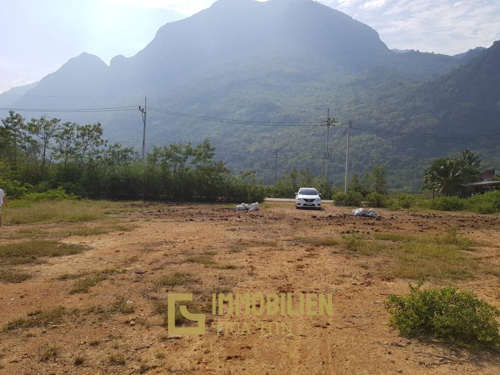 4,000 m² Atterrir Pour Vente