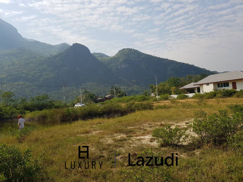 Beautiful Land For Sale In Dolphin Bay