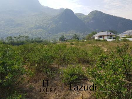 Beautiful Land For Sale In Dolphin Bay