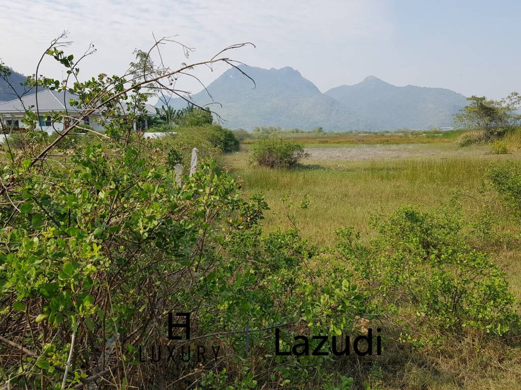 Beautiful Land For Sale In Dolphin Bay