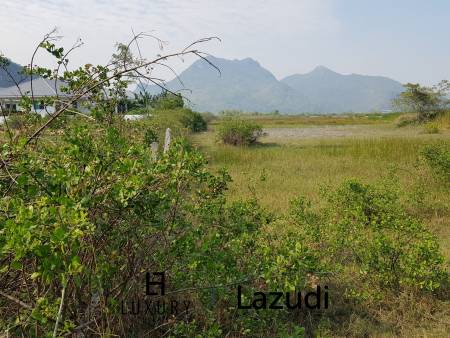 Beautiful Land For Sale In Dolphin Bay