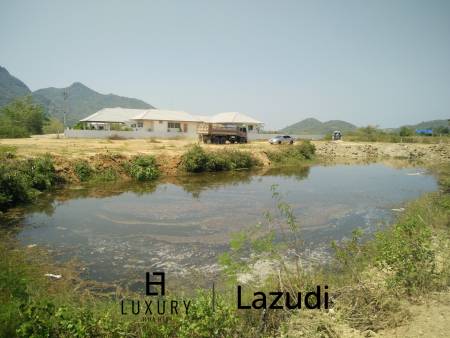 Beautiful Land For Sale In Dolphin Bay