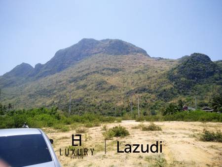 Beautiful Land For Sale In Dolphin Bay