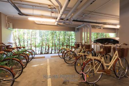 1 Bedroom Condo - Brand New