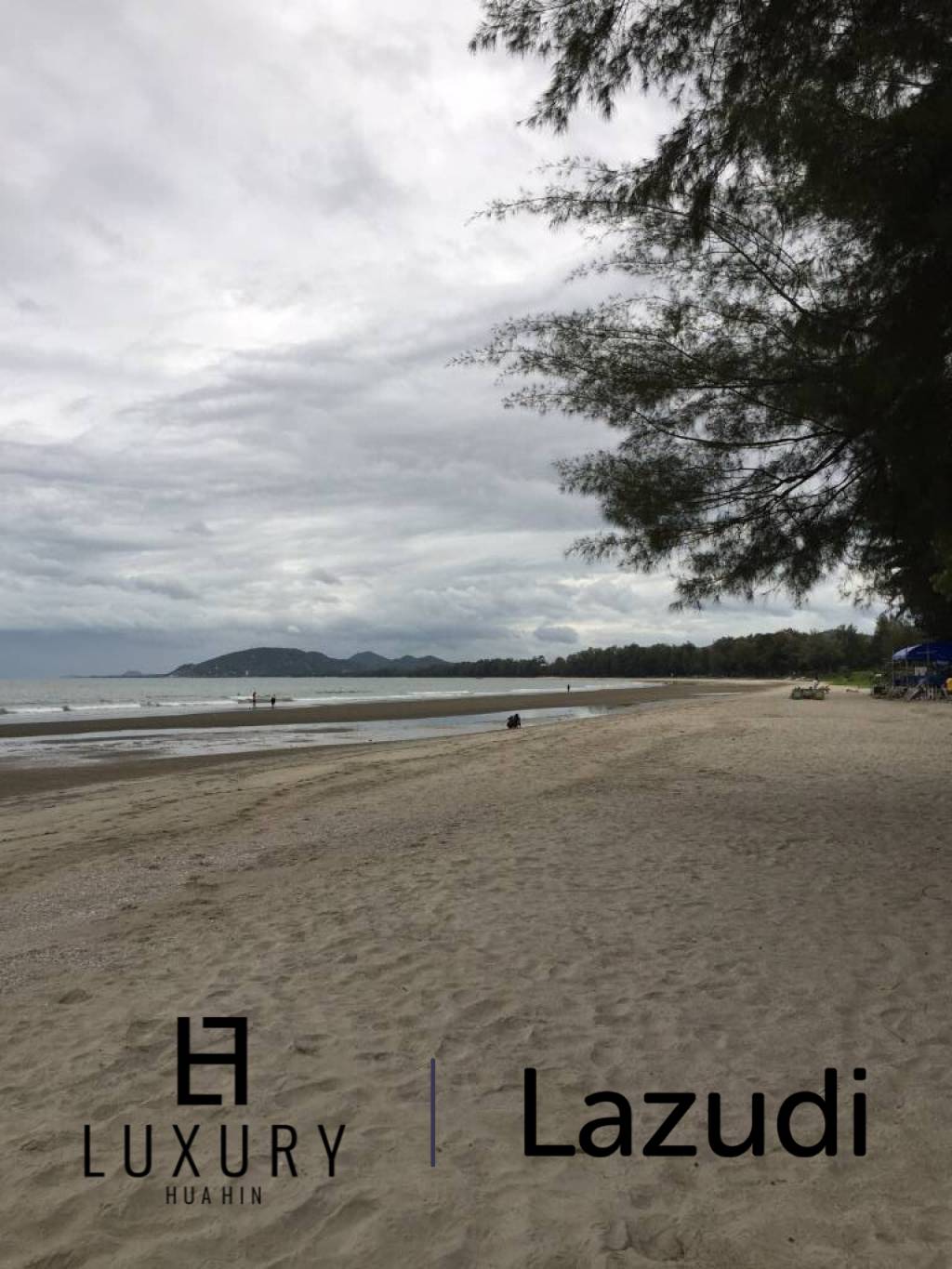 Great 1 Bedroom Pool View Condo