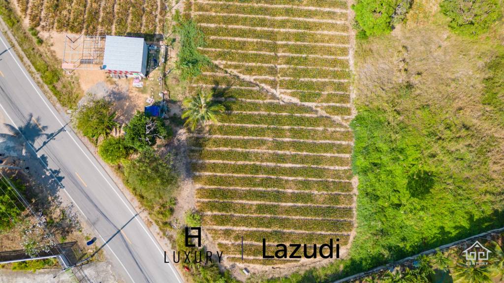 2 Rai land divided in 4  plots