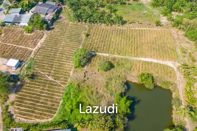 2 Rai land divided in 4  plots