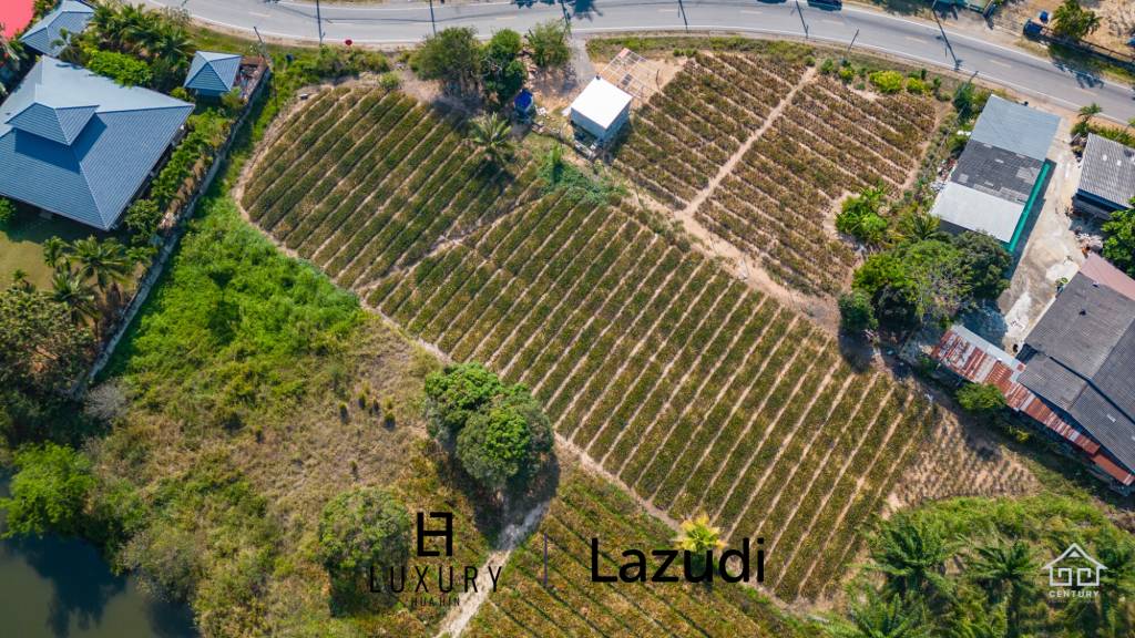 2 Rai land divided in 4  plots