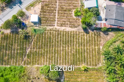2 Rai land divided in 4  plots
