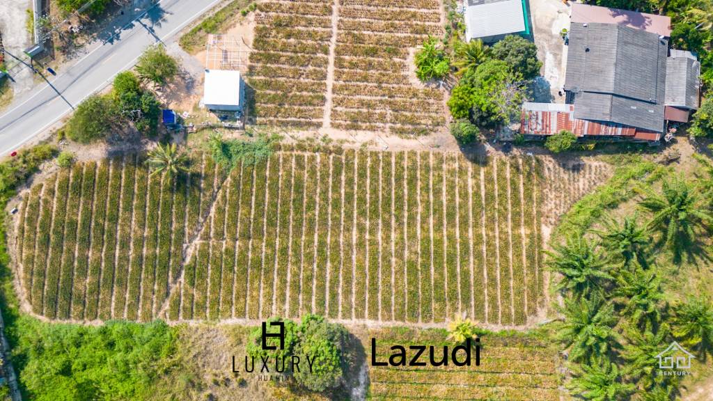 2 Rai land divided in 4  plots