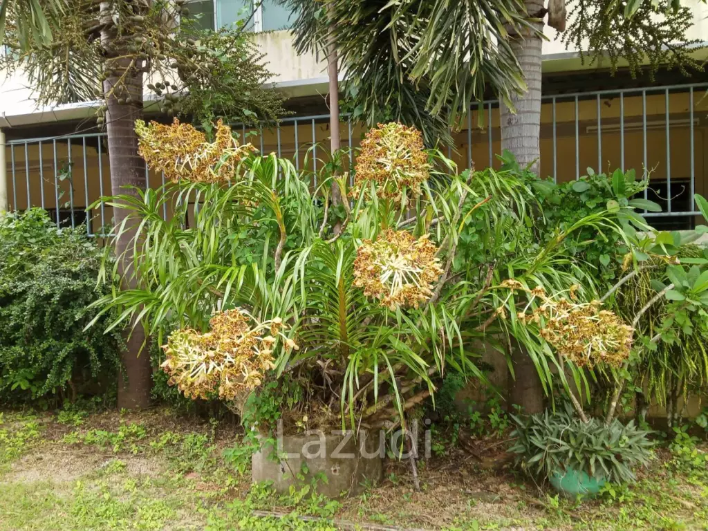 Motel for sale close to Ao Nang Beach