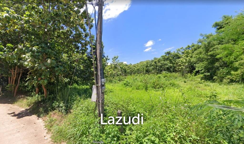 6 Rai Land for Sale with teak trees in Chiang Saen