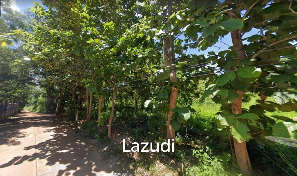 6 Rai Land for Sale with teak trees in Chiang Saen