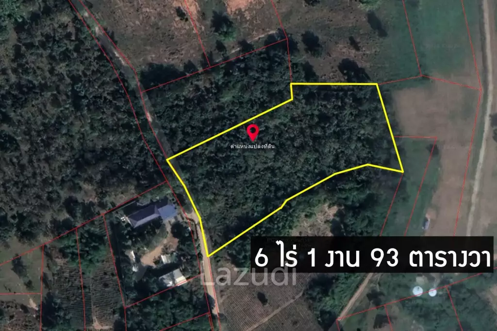 ขายที่ดินพร้อมต้นสัก 6 ไร่ ใกล้ตัวเมืองเชียงแสน