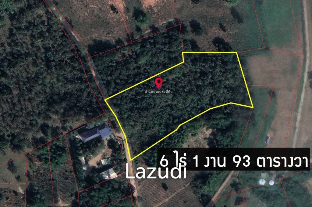 6 Rai Land for Sale with teak trees in Chiang Saen