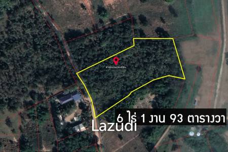 6 Rai Land for Sale with teak trees in Chiang Saen 6 Rai Land for Sale with teak trees in Chiang Saen