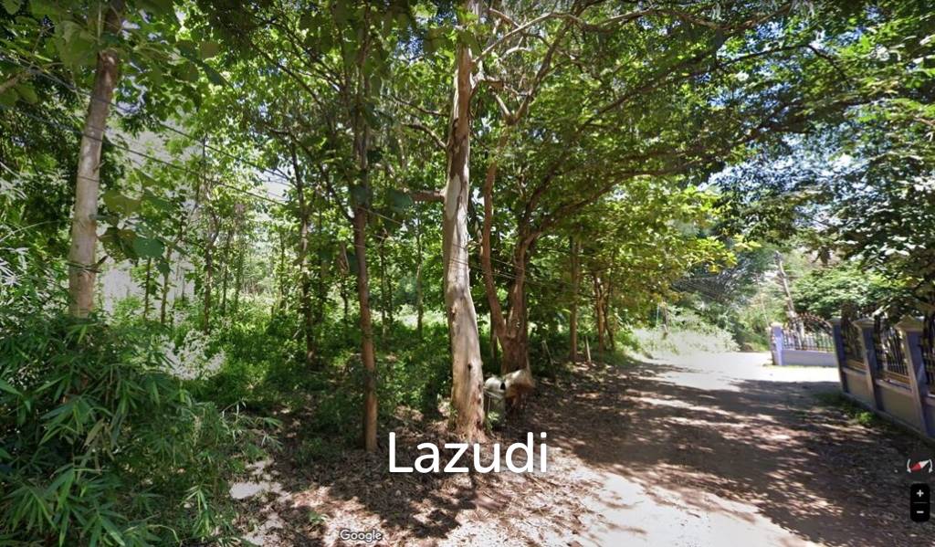 6 Rai Land for Sale with teak trees in Chiang Saen