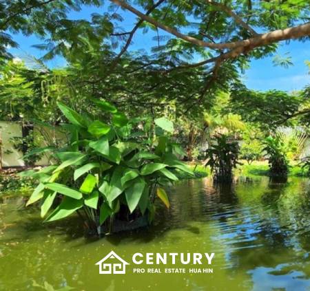 HANA VILLAGE 3  : 5 bed pool villa