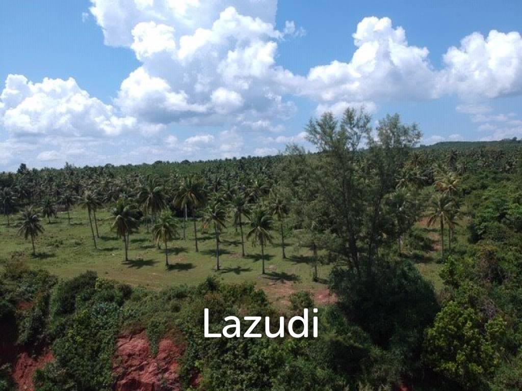 Absolute Beachfront : Beautiful Plot of Land in Bang Saphan Noi