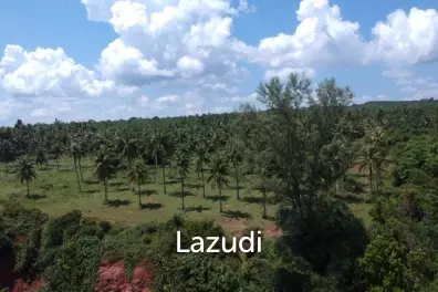 Absolute Beachfront : Beautiful Plot of Land in Bang Saphan Noi