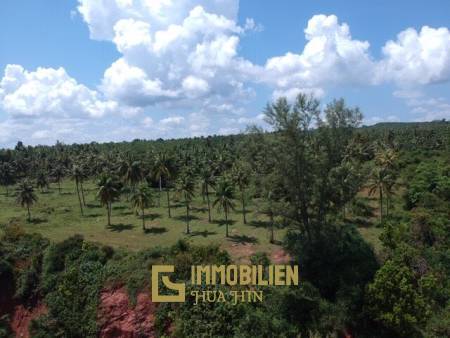 Absolute Beachfront : Beautiful Plot of Land in Bang Saphan Noi