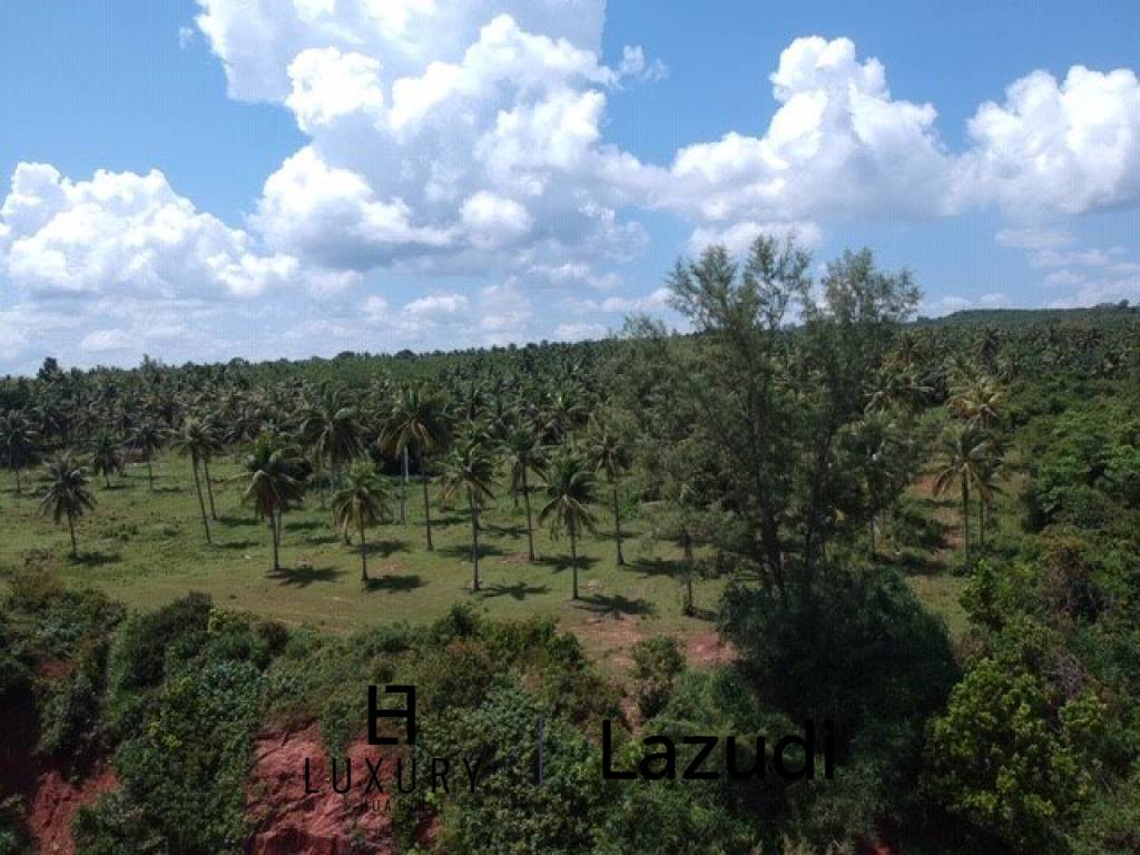 Absolute Beachfront : Beautiful Plot of Land in Bang Saphan Noi