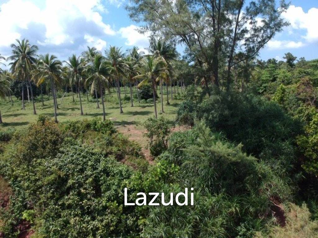 Absolute Beachfront : Beautiful Plot of Land in Bang Saphan Noi