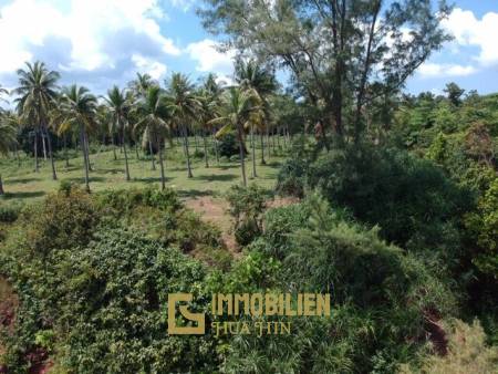 Absolute Beachfront : Beautiful Plot of Land in Bang Saphan Noi