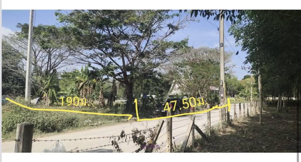 3 Rai 3 Ngan Flat Land | PASAK AREA