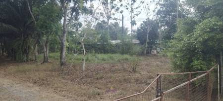 5 Rai Of Flat Land | PASAK AREA Soi 13