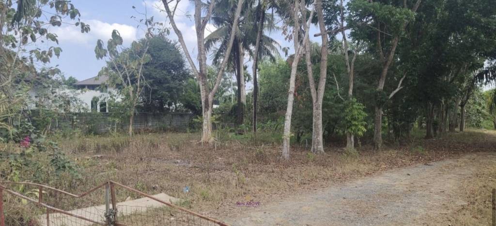 5 Rai Of Flat Land | PASAK AREA Soi 13