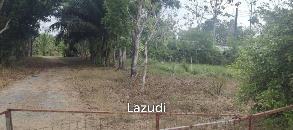 5 Rai Of Flat Land | PASAK AREA Soi 13