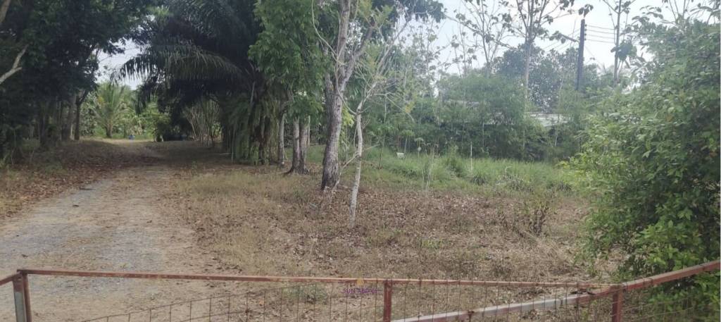 5 Rai Of Flat Land | PASAK AREA Soi 13