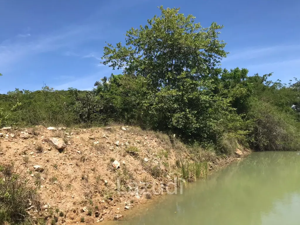13 Rai of Land In Sam Roi Yot
