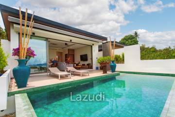 5 Bed 6 Bath 513.63 SQ.M Paragon Villas