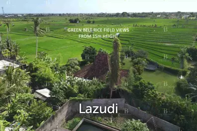 Rare Freehold Land in Babakan Canggu