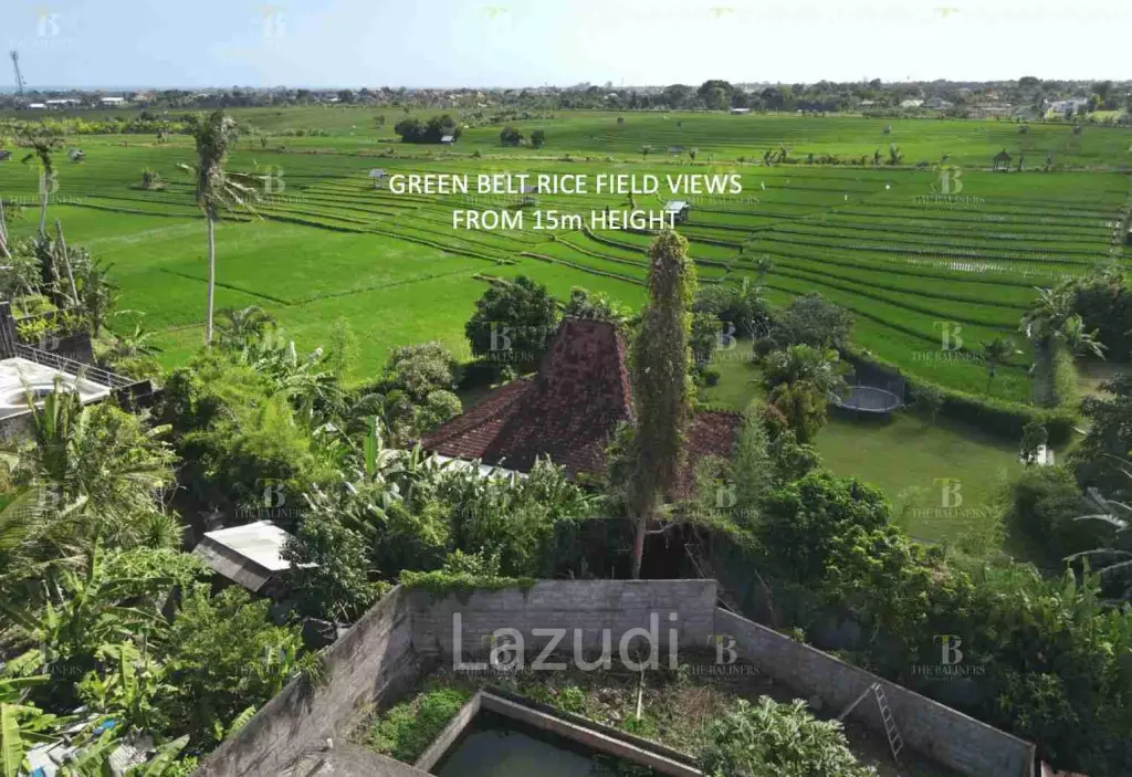 Rare Freehold Land in Babakan Canggu
