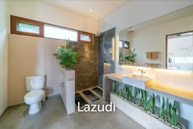 Modern Villa walking distance to Pererenan Beach