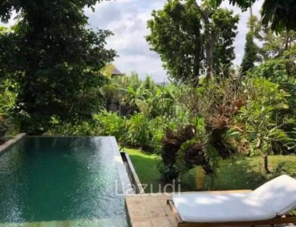 Beautiful Leasehold Property in Seseh Beach Canggu