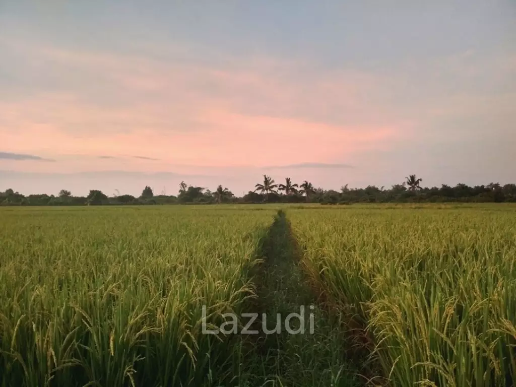 Peaceful And Unique Artisan Balinese Resort Home Rice Paddies View In Nam Phrae