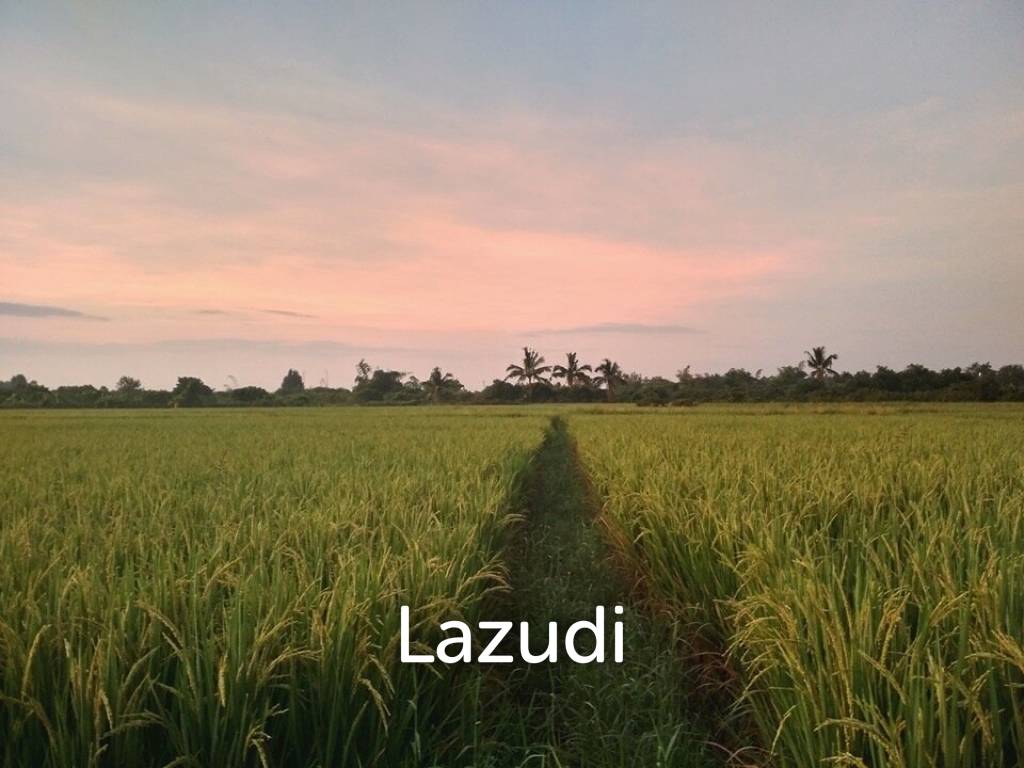 Peaceful And Unique Artisan Balinese Resort Home Rice Paddies View In Nam Phrae