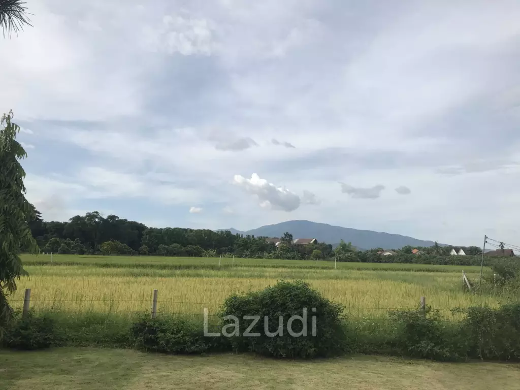 Peaceful And Unique Artisan Balinese Resort Home Rice Paddies View In Nam Phrae