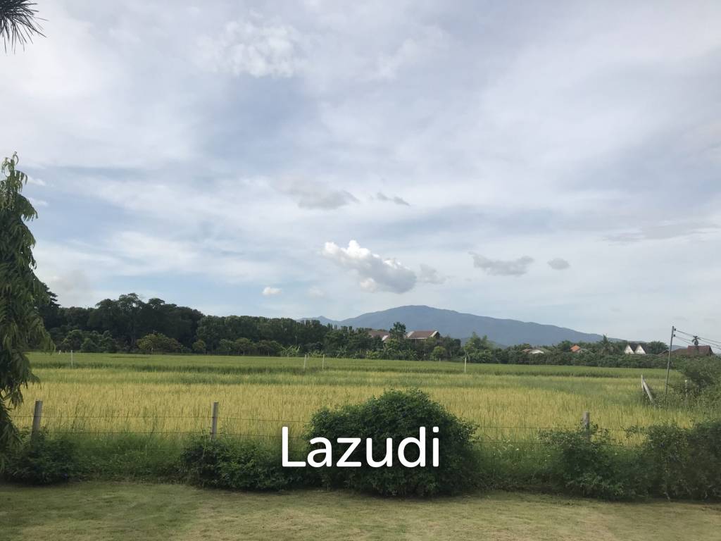 Peaceful And Unique Artisan Balinese Resort Home Rice Paddies View In Nam Phrae