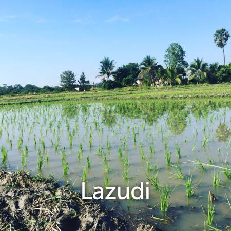 Peaceful And Unique Artisan Balinese Resort Home Rice Paddies View In Nam Phrae