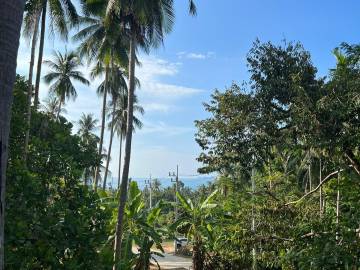 3.3 Rai of Sea View land Located in Mae Nam