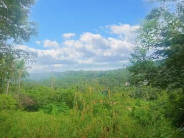 Sea View land on the Hills of Mae Nam