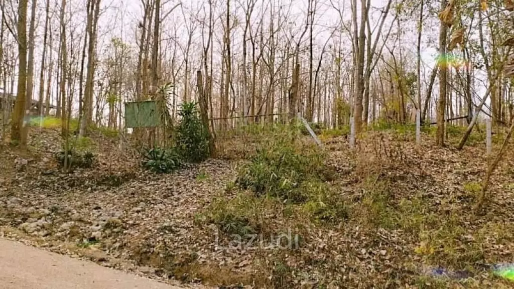 Land for Sale 9,977.50 SQ.M Surrounded By Nature