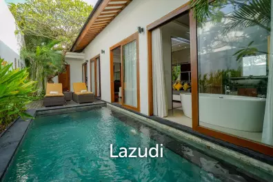 Great Investment complex in Legain