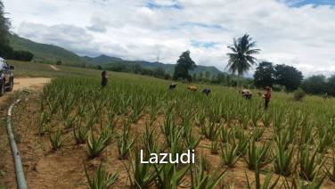 Land for sale 57 Rai and 395 sqw. with Mountain view